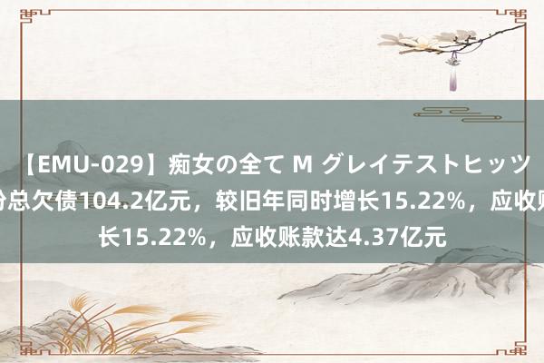 【EMU-029】痴女の全て M グレイテストヒッツ 4時間 视源股份总欠债104.2亿元，较旧年同时增长15.22%，应收账款达4.37亿元